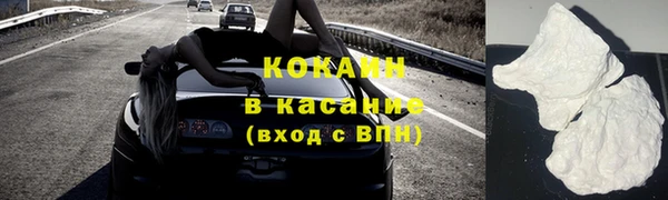 индика Бородино