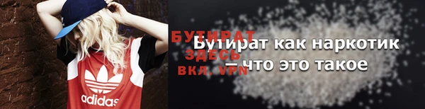 индика Бородино