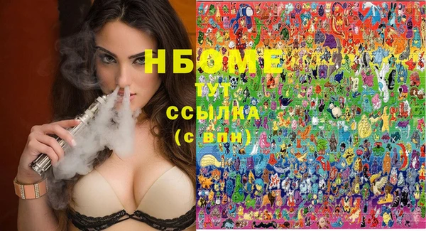 индика Бородино