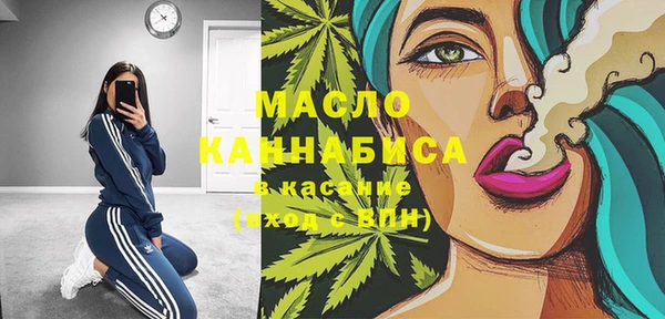 индика Бородино