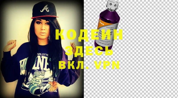 индика Бородино