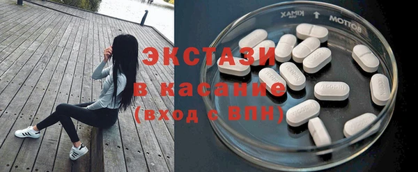 индика Бородино