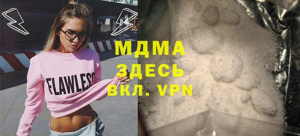 индика Бородино