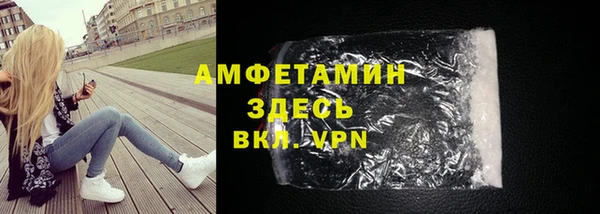 индика Бородино