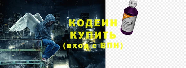 индика Бородино