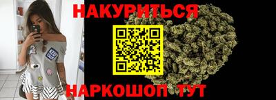 сатива Будённовск
