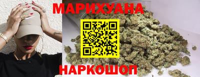 сатива Будённовск