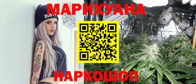 сатива Будённовск