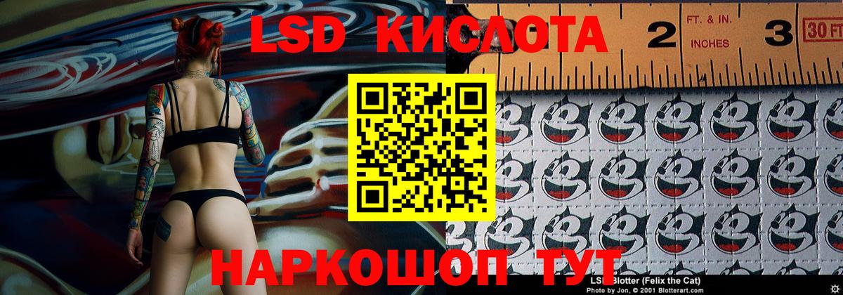  COCAIN Выборг