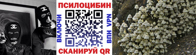 Галлюциногенные грибы мицелий  Выборг 